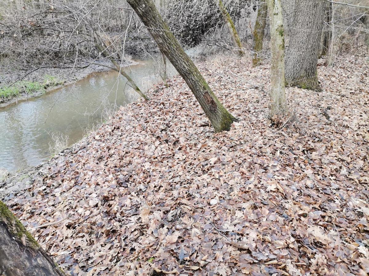 Ókerka Vendégház Csesztreg Esterno foto
